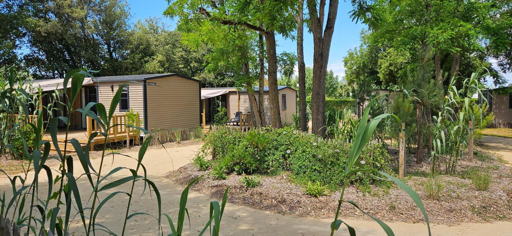 Camping Le Bois Verdon Saint-Jean-de-Monts Exteriör bild